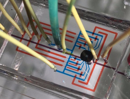 Godin Laboratory - Nanopore array in microfluidic device