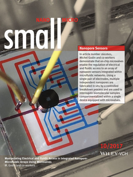 Michel Godin Nanopore Sensor Arrays - Cover of Journal Small